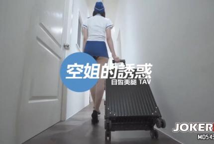 JSBY-0015 淫蕩空姐的肉體誘惑 黎兒